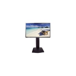43'' HDMI SCREEN + Adjustable stand
