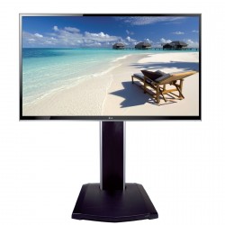 49'' HDMI SCREEN + Adjustable stand