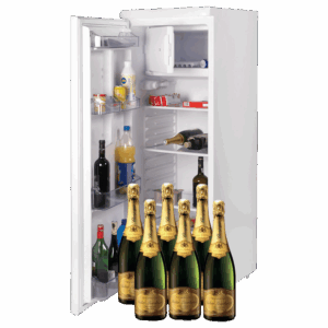 REFRIGERATEUR GARNI 220L avec Champagne