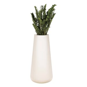 Zamioculcas 140/160cm
