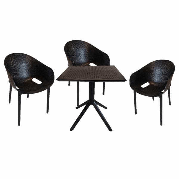 Ensemble SKY